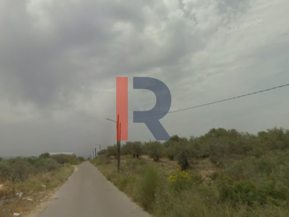 الصورة 1 من 3