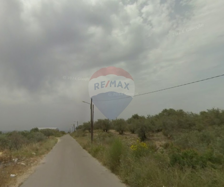 R9-3347 Agricultural Land for Sale in Barghoun Koura أرض زراعية للبيع في برغون الكورة — Photo 2 of 2