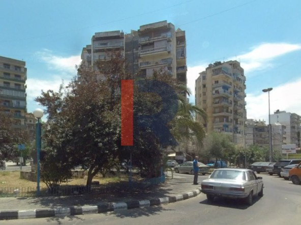 الصورة 1 من 4