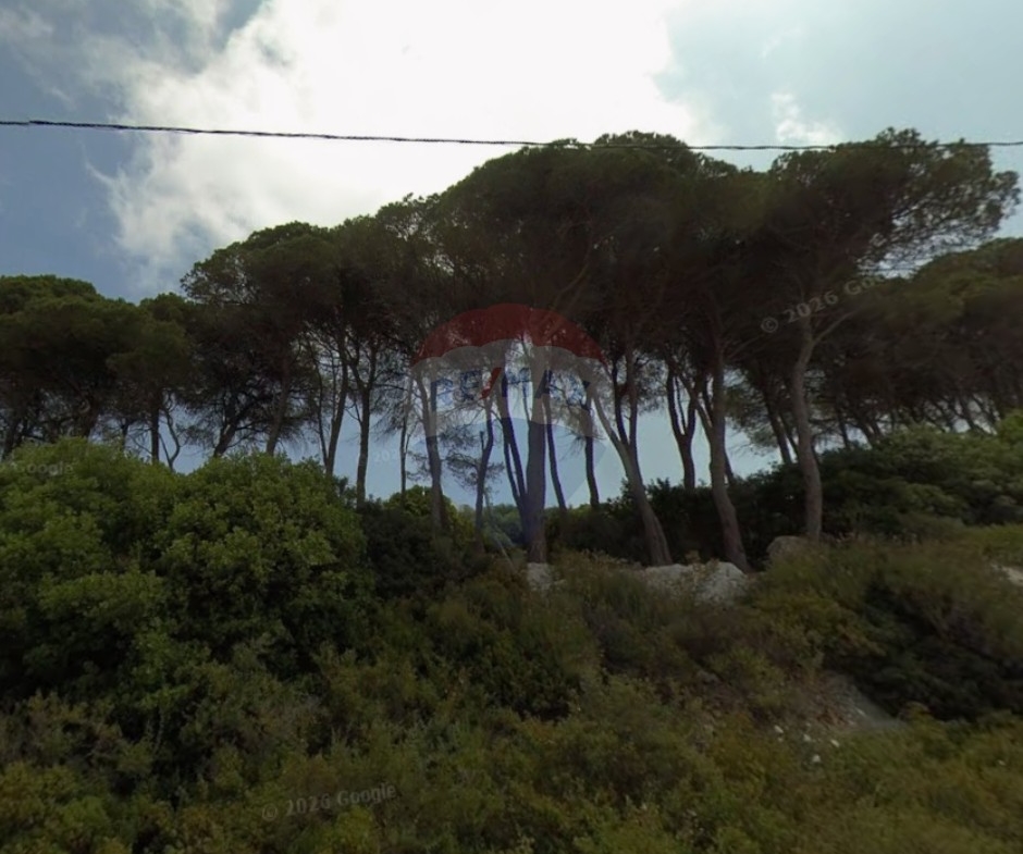 R9-3301 Land for Sale in Deddeh Koura – 2501 m², Sea Viewأرض للبيع في دده الكورة – 2501 متر مربع، إطلالة بحرية — Photo 3 of 3