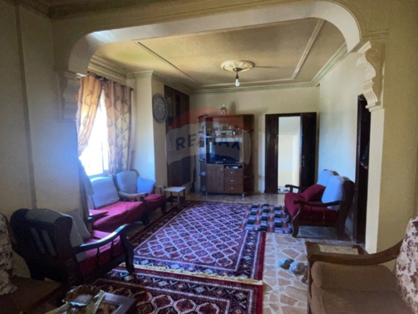 الصورة 1 من 13
