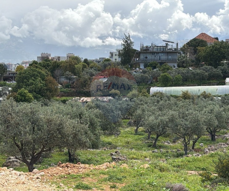 R9-3327 Land for Sale in Barsa Koura – 1337 m²أرض للبيع في برسا الكورة – 1337 متر مربع — Photo 1 of 1