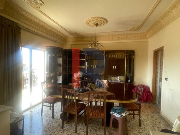 الصورة 1 من 13