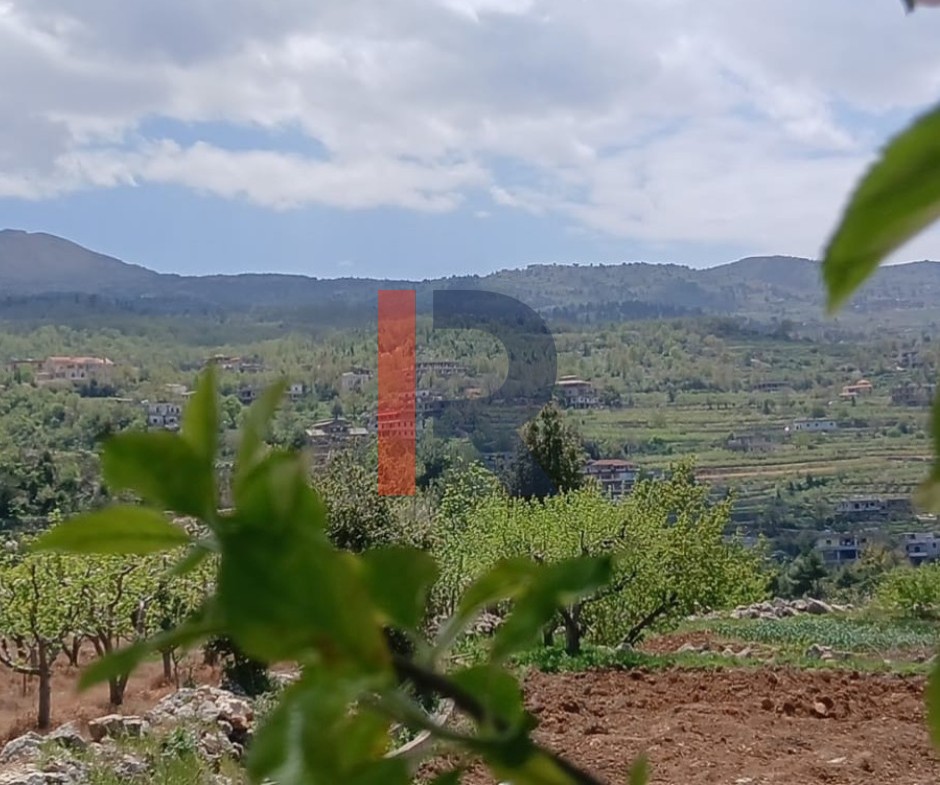 R9-3412  Land for Sale in Fnaidek – Akkar | 9,000 m²أرض للبيع في فنيدق – عكار | 9,000 م² — Photo 2 of 6
