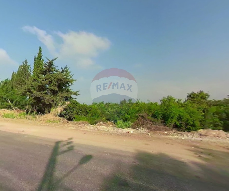 R9-3452 Investment Land for Sale in Tel Hayat Akkar – 43,164 m², Commercial & Agricultural أرض استثمارية للبيع في تل الحياة عكار – 43,164 م² تجاري وزراعي — Photo 2 of 4