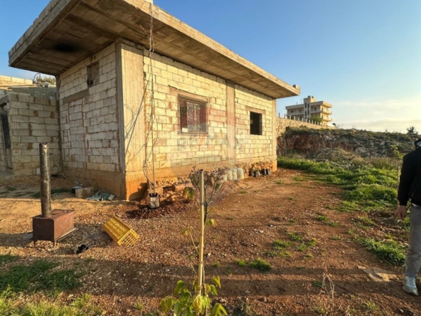 الصورة 1 من 2
