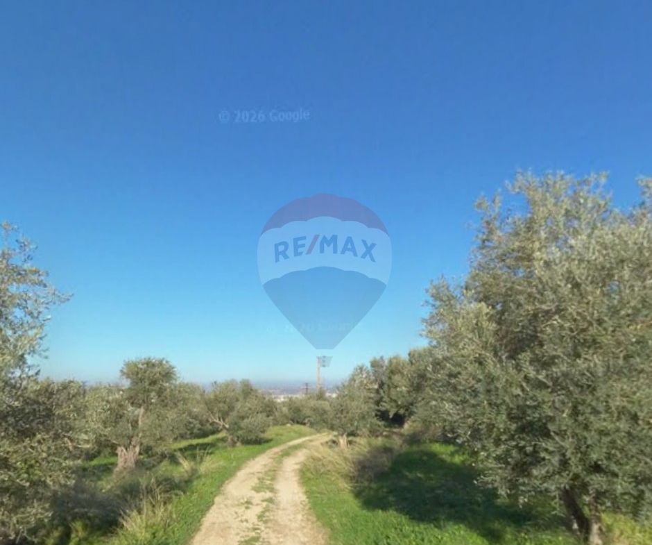 R9-3415 أرض للبيع في حلبا – عكار | 5,100 م² — الصورة 2 من 3