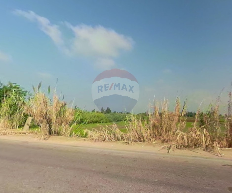 R9-3452 Investment Land for Sale in Tel Hayat Akkar – 43,164 m², Commercial & Agricultural أرض استثمارية للبيع في تل الحياة عكار – 43,164 م² تجاري وزراعي — Photo 3 of 4