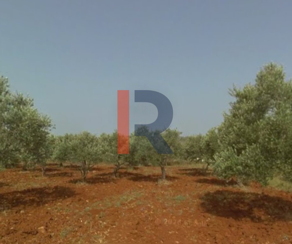 R9-3457 Land for Sale in Kfarkahel Koura – 1,754 m²أرض للبيع في كفركاهل الكورة – 1,754 م² — Photo 2 of 2