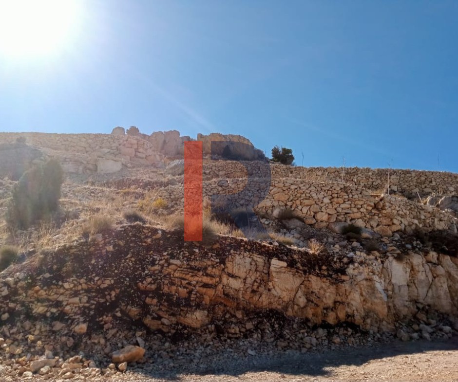 R9-3469 أرض للبيع في بقاع صفرين جرد النجاص – 2,450 م² — الصورة 3 من 6
