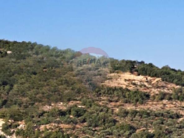 الصورة 1 من 4