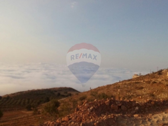 R9-3469 أرض للبيع في بقاع صفرين جرد النجاص – 2,450 م² — الصورة 4 من 6
