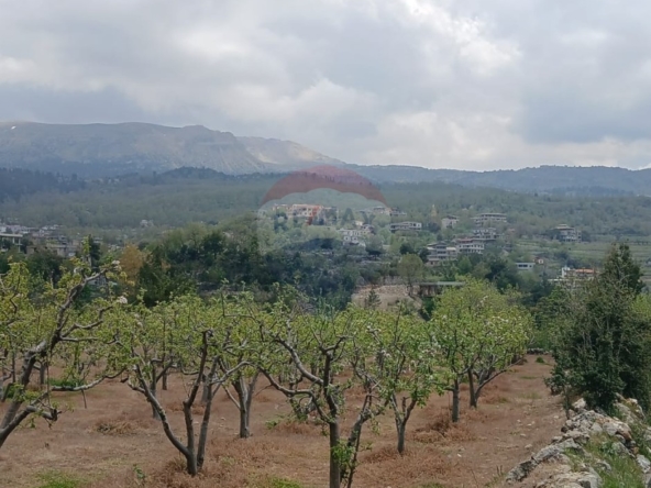 R9-3412  Land for Sale in Fnaidek – Akkar | 9,000 m²أرض للبيع في فنيدق – عكار | 9,000 م² — Photo 5 of 6