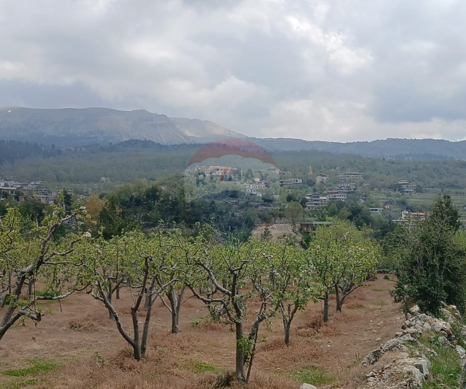 R9-3412  Land for Sale in Fnaidek – Akkar | 9,000 m²أرض للبيع في فنيدق – عكار | 9,000 م² — Photo 5 of 6