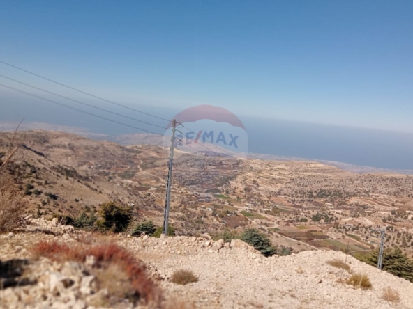 الصورة 1 من 7