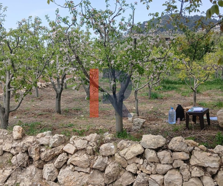 R9-3412  Land for Sale in Fnaidek – Akkar | 9,000 m²أرض للبيع في فنيدق – عكار | 9,000 م² — Photo 6 of 6
