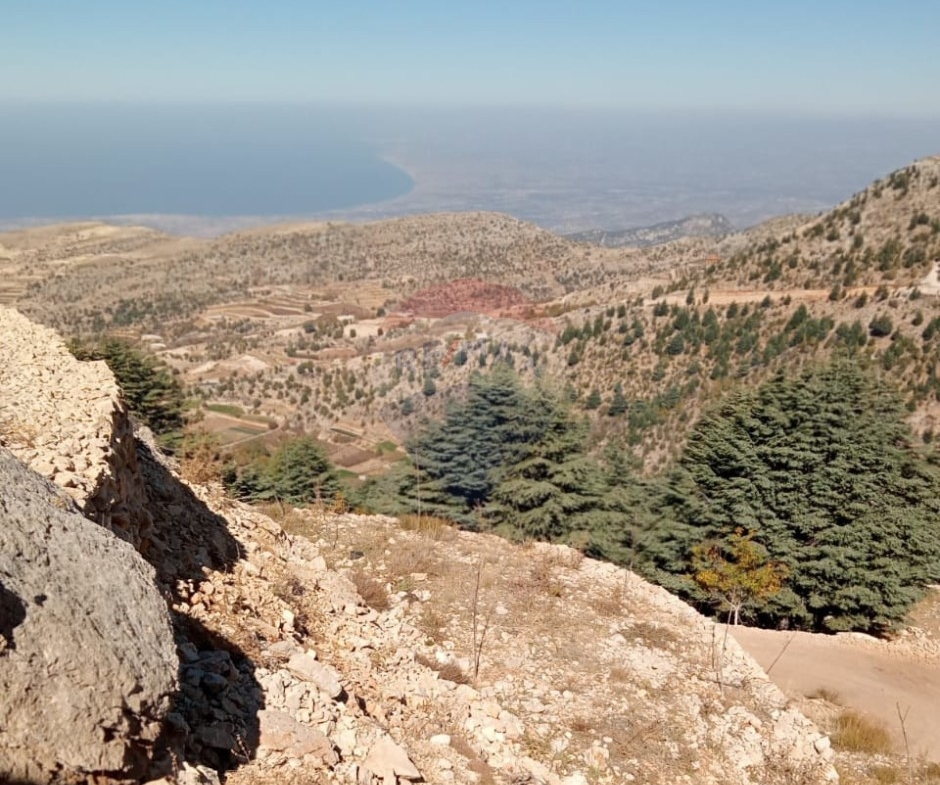 R9-3469 أرض للبيع في بقاع صفرين جرد النجاص – 2,450 م² — الصورة 6 من 6