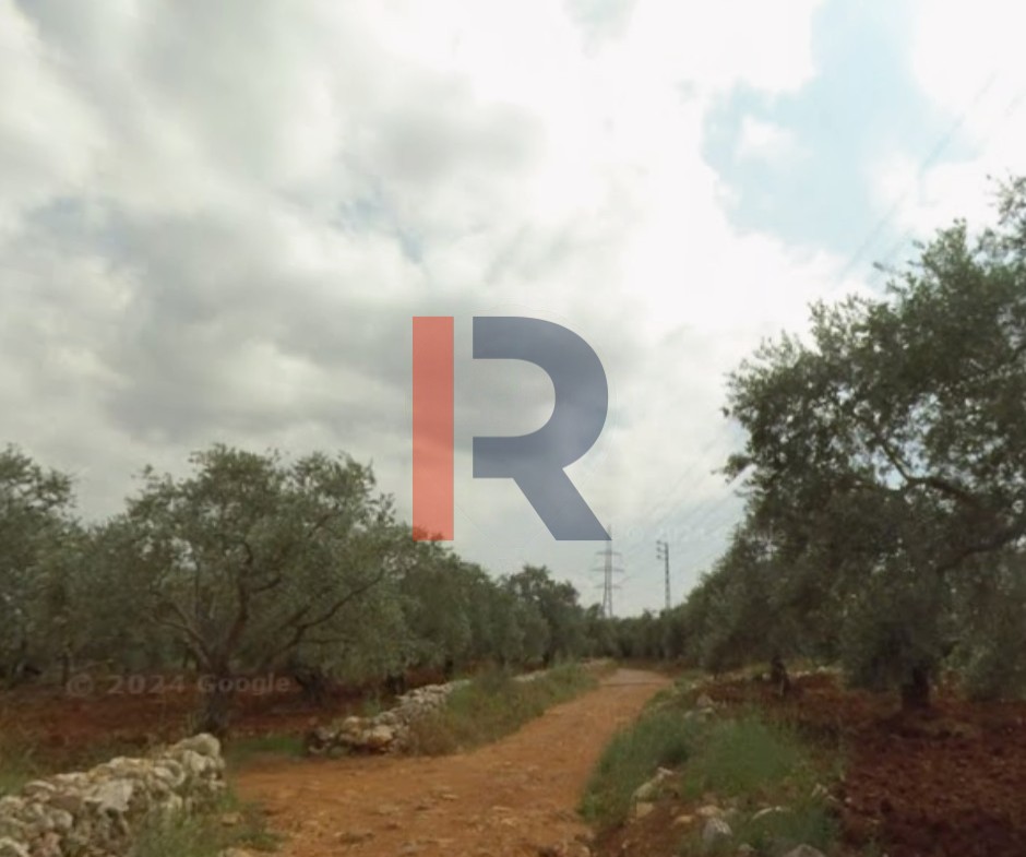R9-3513 أرض للبيع في البقيعة – 1200 م² — الصورة 1 من 2
