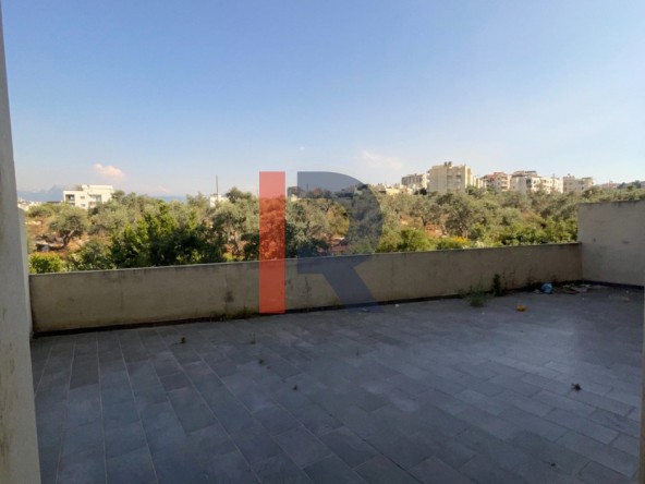 الصورة 1 من 13