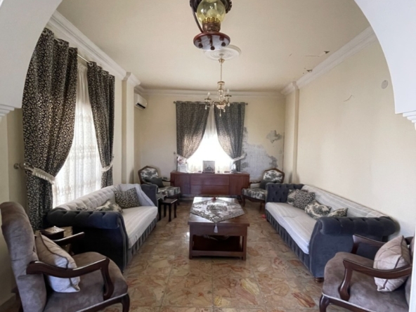 الصورة 1 من 15