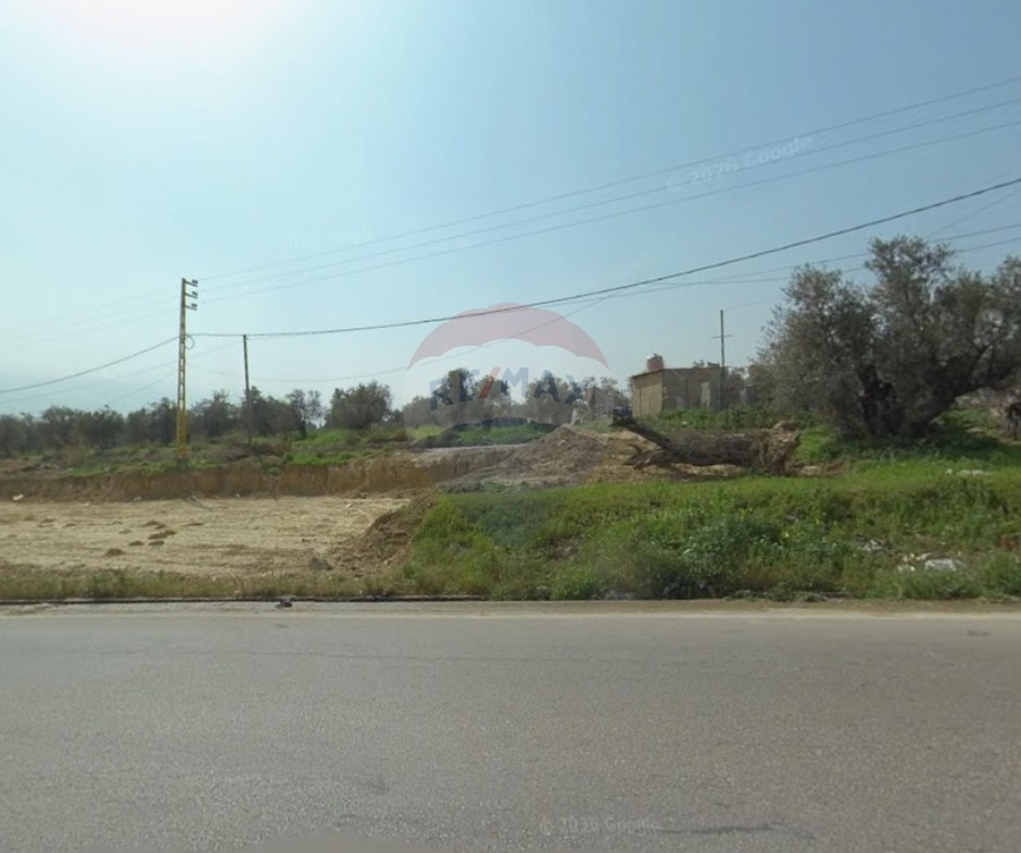 R9-3616 أرض للبيع في علما وادي الريحان – 3669 م²، زراعية — الصورة 2 من 3