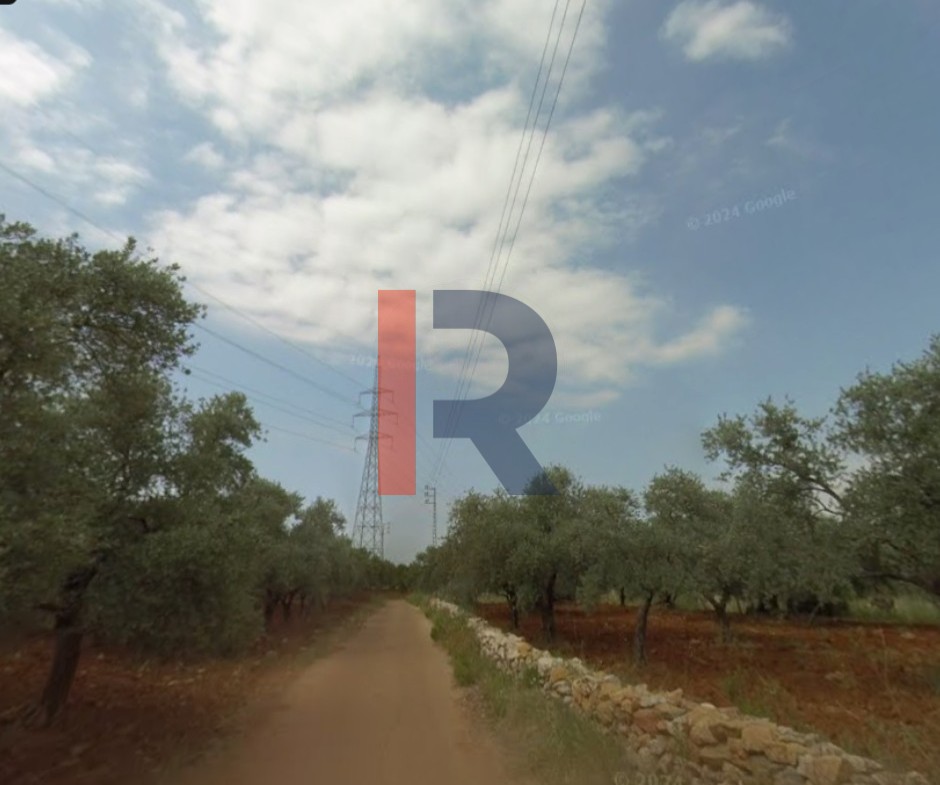 R9-3513 أرض للبيع في البقيعة – 1200 م² — الصورة 2 من 2