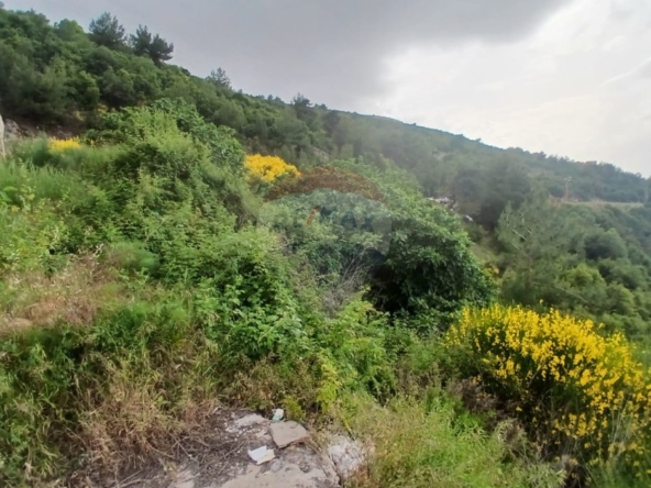 R9-3651 Land for Sale in Kosba – Koura, 1157 m² Residential, Zoning 25/50, Main Street Frontageأرض للبيع في كوسبا الكورة – 1157 م² سكنية، تصنيف 25/50، واجهة على الشارع الرئيسي — Photo 2 of 5
