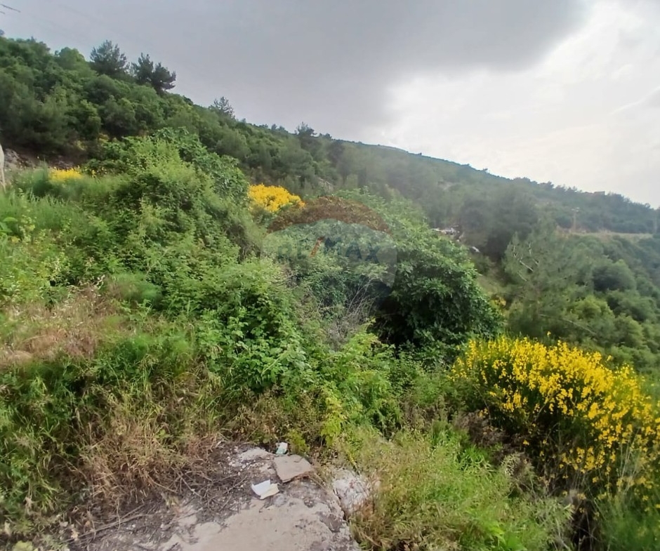 R9-3651 Land for Sale in Kosba – Koura, 1157 m² Residential, Zoning 25/50, Main Street Frontageأرض للبيع في كوسبا الكورة – 1157 م² سكنية، تصنيف 25/50، واجهة على الشارع الرئيسي — Photo 2 of 5