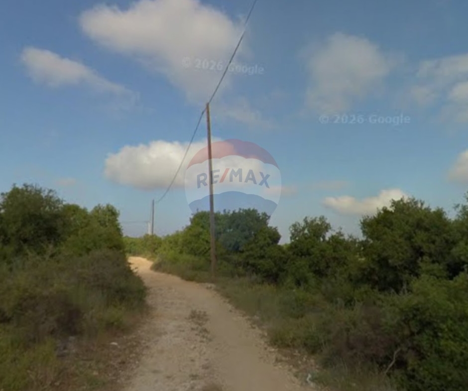 R9-3516 Land for Sale in Qalhat – Koura, 35,547 m²أرض للبيع في قلحات الكورة – 35,547 م² — Photo 2 of 4