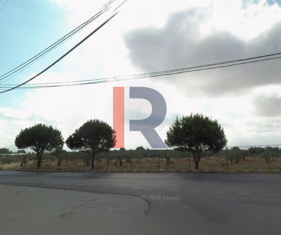 R9-3519 أرض للبيع في دده الكورة – 1470 م² — الصورة 2 من 4