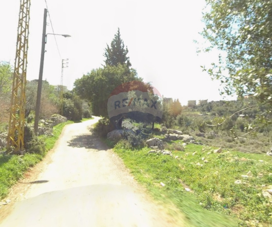 R9-3559 Land for Sale in Btermaz – Danniyeh, 1000 m², Planted with Fruitsأرض للبيع في بطرماز الضنية – 1000 م²، مزروعة بأشجار مثمرة — Photo 2 of 3