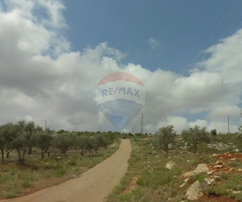 R9-3588 Land for Sale in Nakhleh – Koura, 1865 m², Villas Area, Zoning 20/40أرض للبيع في نخلة الكورة – 1865 م²، منطقة الفيلات، تصنيف بناء 20/40 — Photo 2 of 3