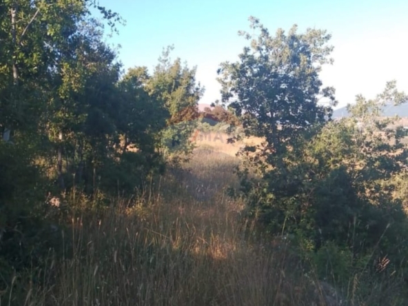 R9-3611 Land for Sale in Sandyana – Akkar, 5429 m²  أرض للبيع في سنديانة عكار – 5429 م² — Photo 2 of 5
