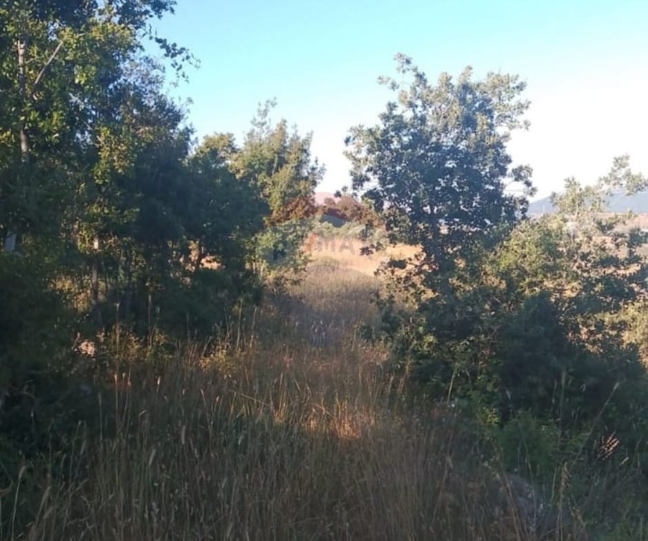 R9-3611 Land for Sale in Sandyana – Akkar, 5429 m²  أرض للبيع في سنديانة عكار – 5429 م² — Photo 2 of 5