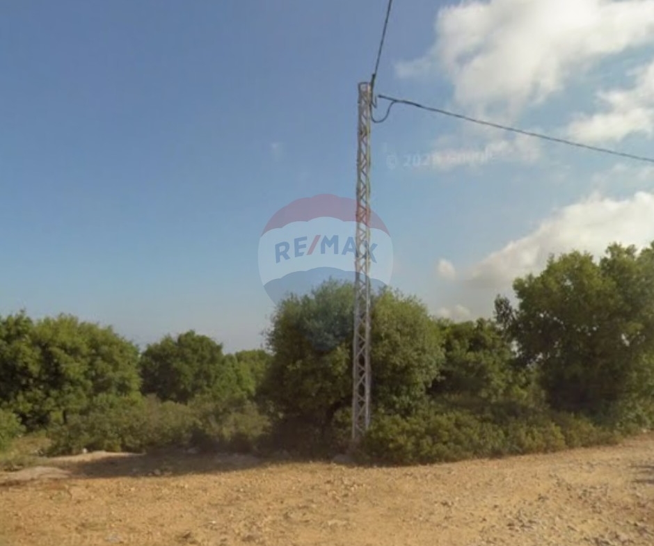 R9-3516 Land for Sale in Qalhat – Koura, 35,547 m²أرض للبيع في قلحات الكورة – 35,547 م² — Photo 3 of 4