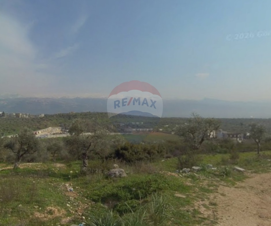R9-3558 Land for Sale in Alma – Zgharta, 10,000 m², Zoning 20/40, Villa Areaأرض للبيع في علما زغرتا – 10,000 م²، تصنيف بناء 20/40، منطقة الفيلات — Photo 3 of 3