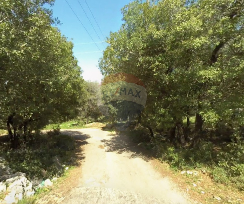 R9-3559 Land for Sale in Btermaz – Danniyeh, 1000 m², Planted with Fruitsأرض للبيع في بطرماز الضنية – 1000 م²، مزروعة بأشجار مثمرة — Photo 3 of 3