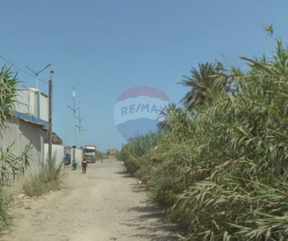 R9-3562 Land for Sale in Basatin – Tripoli, 1390 m²أرض للبيع في البساتين طرابلس – 1390 م² — Photo 2 of 3