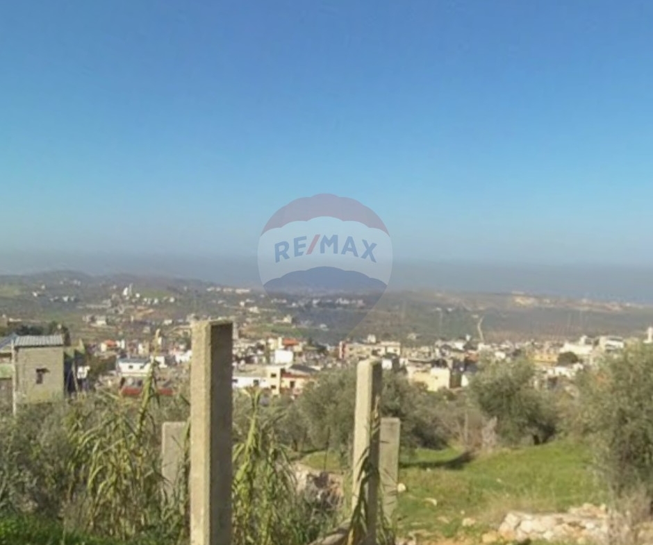 R9-3589 Land for Sale in Akkar – Al Kotaii, 3780 m²أرض للبيع في عكار القطيعي – 3780 م² — Photo 3 of 3