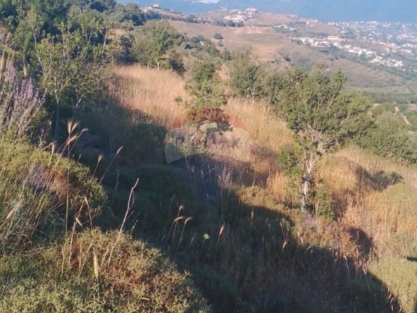 R9-3611 Land for Sale in Sandyana – Akkar, 5429 m²  أرض للبيع في سنديانة عكار – 5429 م² — Photo 3 of 5