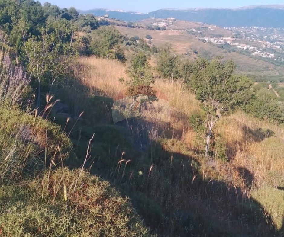 R9-3611 Land for Sale in Sandyana – Akkar, 5429 m²  أرض للبيع في سنديانة عكار – 5429 م² — Photo 3 of 5