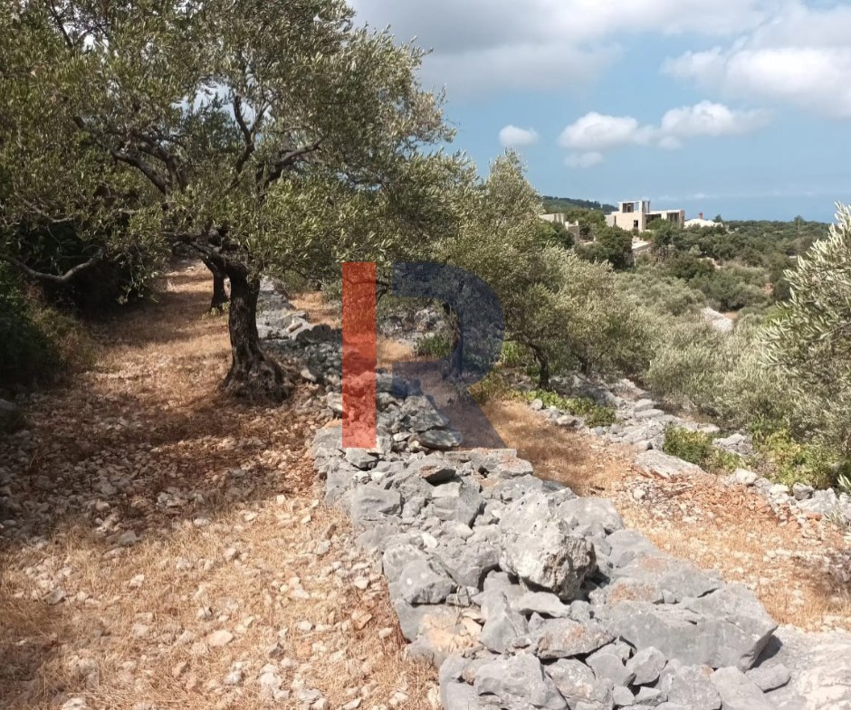 R9-3613 Land for Sale in Chabtine – Batroun, 950 m², Zoning 25/50أرض للبيع في شبطين البترون – 950 م²، تصنيف 25/50 — Photo 3 of 4