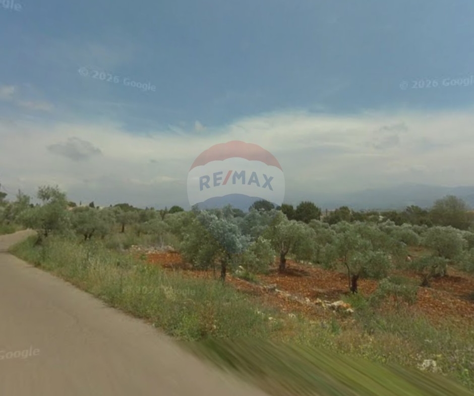 R9-3615 Land for Sale in Bechmezzine – Koura, 5154 m², Zoning 20/40, Villas Area أرض للبيع في بشمزين الكورة – 5154 م²، تصنيف 20/40، منطقة الفيلل — Photo 3 of 3