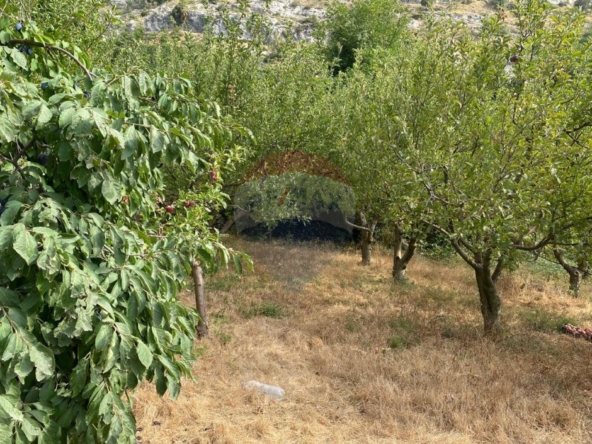 R9-3621 Land for Sale in Biqarsouna – Danniyeh, 750 m², Zoning 25/50أرض للبيع في بقرصونا الضنية – 750 م²، تصنيف 25/50 — Photo 3 of 5