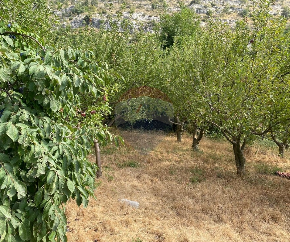 R9-3621 Land for Sale in Biqarsouna – Danniyeh, 750 m², Zoning 25/50أرض للبيع في بقرصونا الضنية – 750 م²، تصنيف 25/50 — Photo 3 of 5