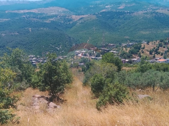 R9-3611 Land for Sale in Sandyana – Akkar, 5429 m²  أرض للبيع في سنديانة عكار – 5429 م² — Photo 4 of 5