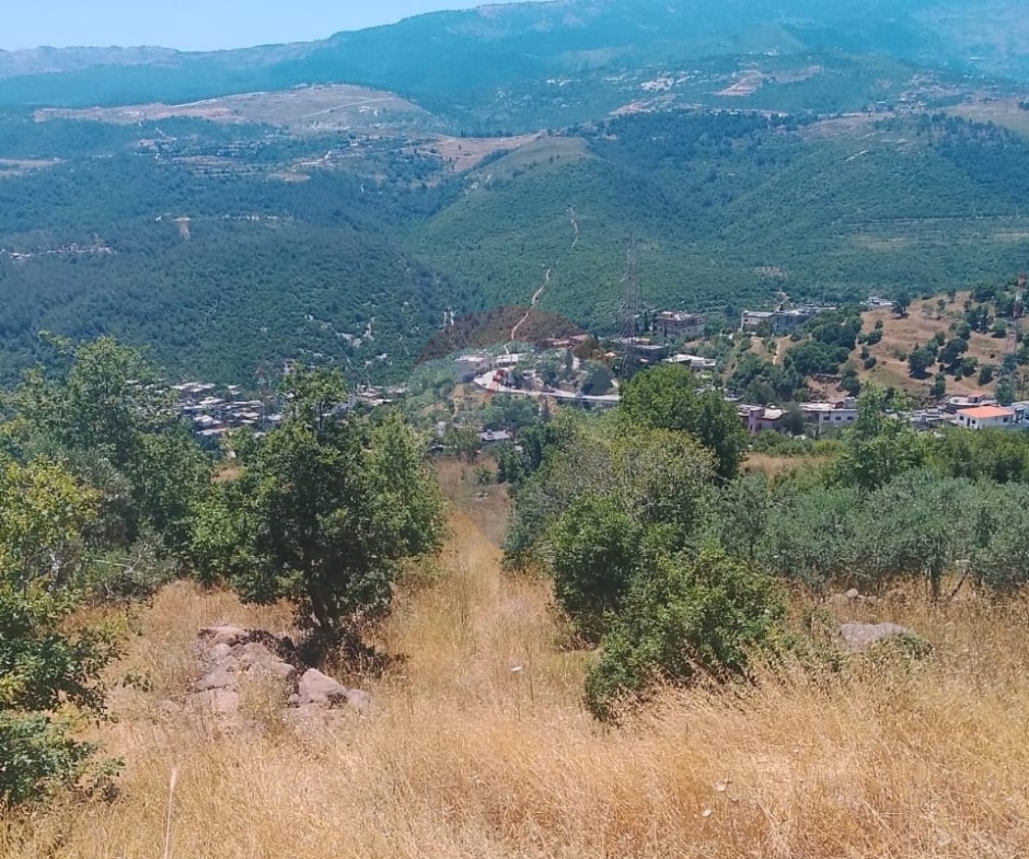R9-3611 Land for Sale in Sandyana – Akkar, 5429 m²  أرض للبيع في سنديانة عكار – 5429 م² — Photo 4 of 5