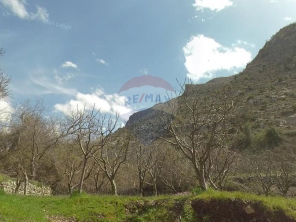 R9-3621 Land for Sale in Biqarsouna – Danniyeh, 750 m², Zoning 25/50أرض للبيع في بقرصونا الضنية – 750 م²، تصنيف 25/50 — Photo 4 of 5