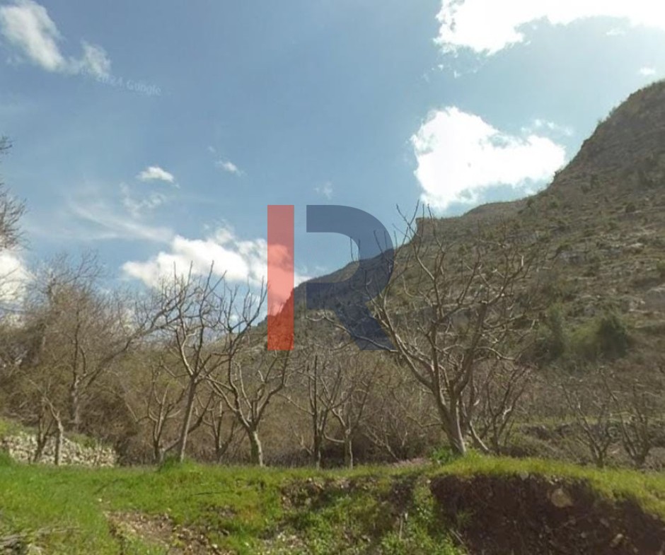 R9-3621 Land for Sale in Biqarsouna – Danniyeh, 750 m², Zoning 25/50أرض للبيع في بقرصونا الضنية – 750 م²، تصنيف 25/50 — Photo 4 of 5