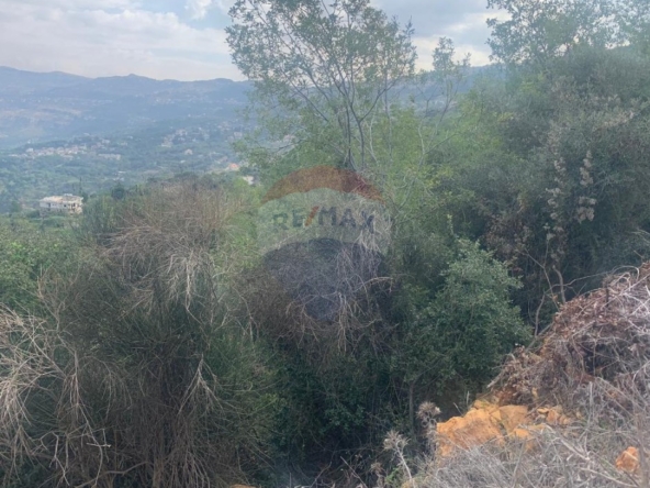 R9-3636 Land for Sale in Baabda – 1,100 m², Residential Zoning, 4 Floors أرض للبيع في بعبدا – 1,100 م²، تصنيف سكني، 4 طوابق — Photo 4 of 6